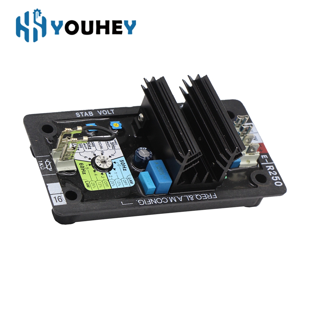 R250 AVR Leroy Somer Automatic - đánh giá và giá Cycloidal Reducer Bldc Motor